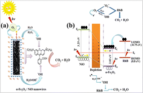 Graphical abstract: Synthesis of mesoporous composites based on α-Fe2O3/NiO nanowires for the photocatalytic degradation of rhodamine B dye