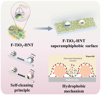 Graphical abstract: A simple preparation of a F-TiO2-HNT superamphiphobic surface with a tube-point-like micro/nano hierarchical structure for self-cleaning and anti-fouling