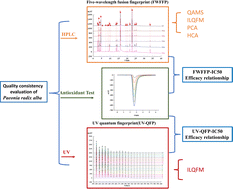 Graphical abstract: Evaluating Paeonia Radix Alba quality by multidimensional quantified fingerprinting combined with antioxidant profiling