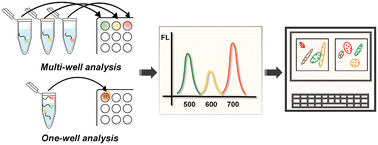 Graphical abstract: Rapid identification of molecular subtyping of breast cancer cell lines using a multi-channel sensor array