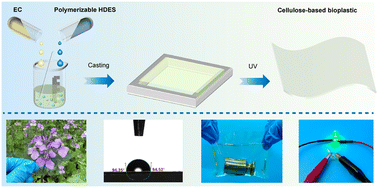 Graphical abstract: Supramolecular covalent cellulose-based bioplastics with high transparency, hydrophobicity, ionic conductivity, mechanical robustness, and recyclability
