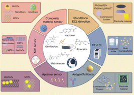 Graphical abstract: Recent advances in the electrochemiluminescence detection of small molecule drugs