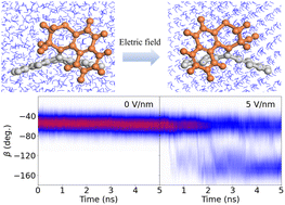 Graphical abstract: Electric field-driven dual-rotation in molecular motors: insights from molecular dynamics simulations