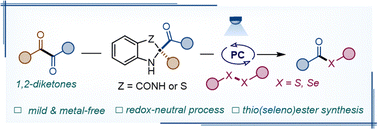 Graphical abstract: Photocatalytic C–C bond thio(seleno)esterification of 1,2-diketone-derived pro-aromatic intermediates