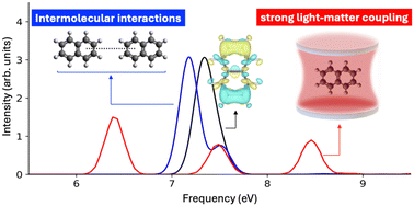 Graphical abstract: Modulating molecular plasmons in naphthalene via intermolecular interactions and strong light–matter coupling