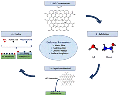 Graphical abstract: Polyamide reverse osmosis membranes modified with graphene oxide for enhanced chlorine attack and fouling resistance