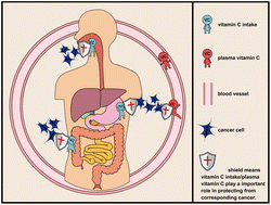 Graphical abstract: Association between dietary vitamin C intake/blood level and risk of digestive system cancer: a systematic review and meta-analysis of prospective studies