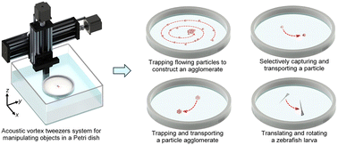 Graphical abstract: In-Petri-dish acoustic vortex tweezers