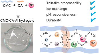 Graphical abstract: Dual cross-linked cellulose based hydrogel films