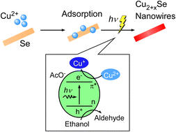 Graphical abstract: Precise synthesis of copper selenide nanowires with tailored Cu vacancies through photo-induced reduction for thermoelectric applications