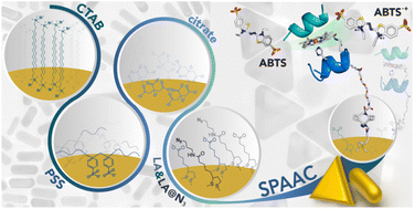 Graphical abstract: Biohybrid materials comprising an artificial peroxidase and differently shaped gold nanoparticles