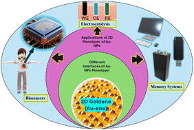 Graphical abstract: Gold on the horizon: unveiling the chemistry, applications and future prospects of 2D monolayers of gold nanoparticles (Au-NPs)