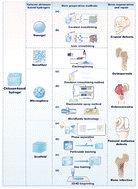 Graphical abstract: Recent advances in tailored chitosan-based hydrogels for bone regeneration and repair