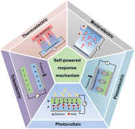 Graphical abstract: The principles and recent advancements in self-powered wearable fiber sensors