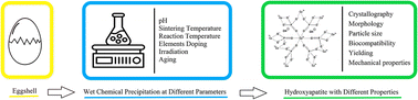 Graphical abstract: Synthesis of hydroxyapatite from eggshells via wet chemical precipitation: a review