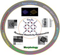 Graphical abstract: Well-defined tricobalt tetraoxide's critical morphology effect on the structure–reactivity relationship