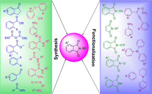 Graphical abstract: Phthalimides: developments in synthesis and functionalization