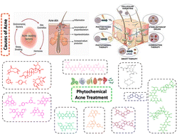 Graphical abstract: The role of current synthetic and possible plant and marine phytochemical compounds in the treatment of acne