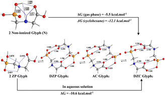 Graphical abstract: Computational study of the dimerization of glyphosate: mechanism and effect of solvent