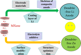 Graphical abstract: Research progress of functional MXene in inhibiting lithium/zinc metal battery dendrites