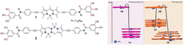 Graphical abstract: Pathway-dependent supramolecular polymerization by planarity breaking