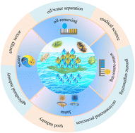 Graphical abstract: Biomass materials with special wettability: a sustainable solution for efficient oil–water separation