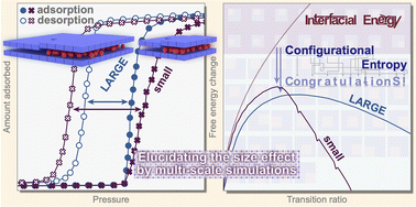 Graphical abstract: Elucidating the particle size-dependent guest-induced structural transition of flexible metal–organic frameworks by exploring cooperative nature