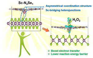 Graphical abstract: Asymmetrical Sc coordination-induced bridging structure and surface relaxation for boosting H2O2 photoactivation in Fenton-like catalysis