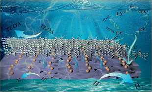 Graphical abstract: In situ Mo doping in NiS2: enhancing electron density and stimulating electronic conductivity of Cu3P–GDY for efficient photocatalytic hydrogen evolution