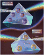 Graphical abstract: Exploring the multifaceted roles of metal–organic frameworks in ecosystem regulation