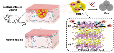 Graphical abstract: Surface Bi-vacancy and corona polarization engineered nanosheets with sonopiezocatalytic antibacterial activity for wound healing