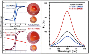Graphical abstract: The interplay between magnetism and structure in Co/Fe-CdSe diluted magnetic quantum dots