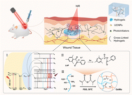 Graphical abstract: Rare-earth doped upconversion-photopolymerization hydrogel hybrids for in vivo wound healing