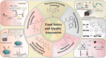 Graphical abstract: Advancing food safety and quality assessment: a comprehensive review of non-destructive analytical technologies