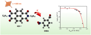 Graphical abstract: Photoinduced electron transfer from the naphthalene diimide anion radical doublet excited state