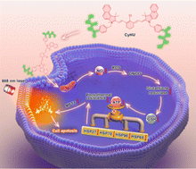 Graphical abstract: A nitric oxide-boosting molecular agent to enhance mild-temperature photothermal therapy