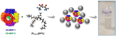 Graphical abstract: Porous ionic liquids based on biocompatible CD-MOFs