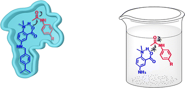 Graphical abstract: Artificial amidase with modifiable active sites and designable substrate selectivity for aryl amide hydrolysis