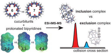 Graphical abstract: Structures and energetics of protonated bipyridine–cucurbituril complex isomers in the gas phase