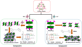 Graphical abstract: Two reduced phosphomolybdate-based metal–organic complexes modified by tunable bis-1H-benzimidazole ligands for enhanced photocatalytic Cr(vi) reduction
