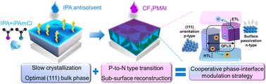 Graphical abstract: Cooperative phase–interface modulation enabling ultralow voltage loss in bromide-containing perovskite solar cells with isopropanol as an antisolvent