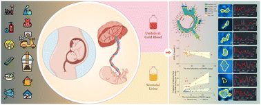 Graphical abstract: Associations between prenatal exposure to micro(nano)plastics and neonatal lipid profile