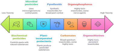 Graphical abstract: Biomass-derived carbon quantum dots as sustainable nanosensors for pesticides and toxic metabolites