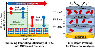Graphical abstract: Role of the diffusion boundary layer in the molecular imprinting of PFAS in poly(ortho-phenylenediamine) toward improving MIP-based sensors