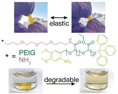 Graphical abstract: Poly(ethyl glyoxylate)-derived self-immolative elastomers
