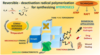 Graphical abstract: Harnessing precision in hydrogel architectures through reversible-deactivation radical polymerisation techniques