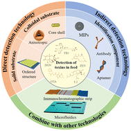 Graphical abstract: Research advances in SERS-based sensing platforms for multiplex mycotoxin detection in feed