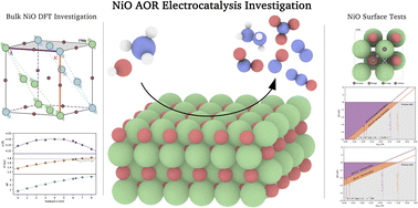 Graphical abstract: A density functional theory investigation of ammonia oxidation pathways on nickel oxide