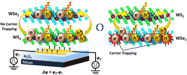 Graphical abstract: Carrier recombination manipulation for tunable multicolor emission in two-dimensional transition metal dichalcogenide light-emitting devices