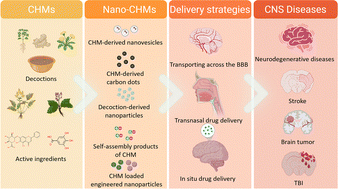 Graphical abstract: Nano-Chinese herbal medicines and their delivery strategies for central nervous system disease therapy